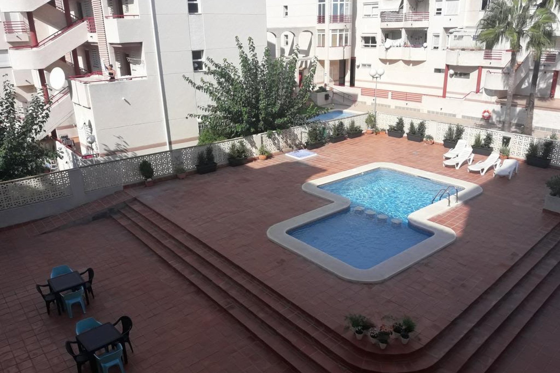 Alquiler corta estancia - Apartamento / piso -
Albir