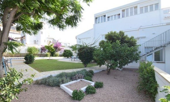 Apartamento / piso -  Alquiler larga estancia - Albir -
                Albir