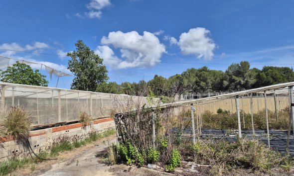Finca rústica - Reventa - La Nucía - La Nucía
