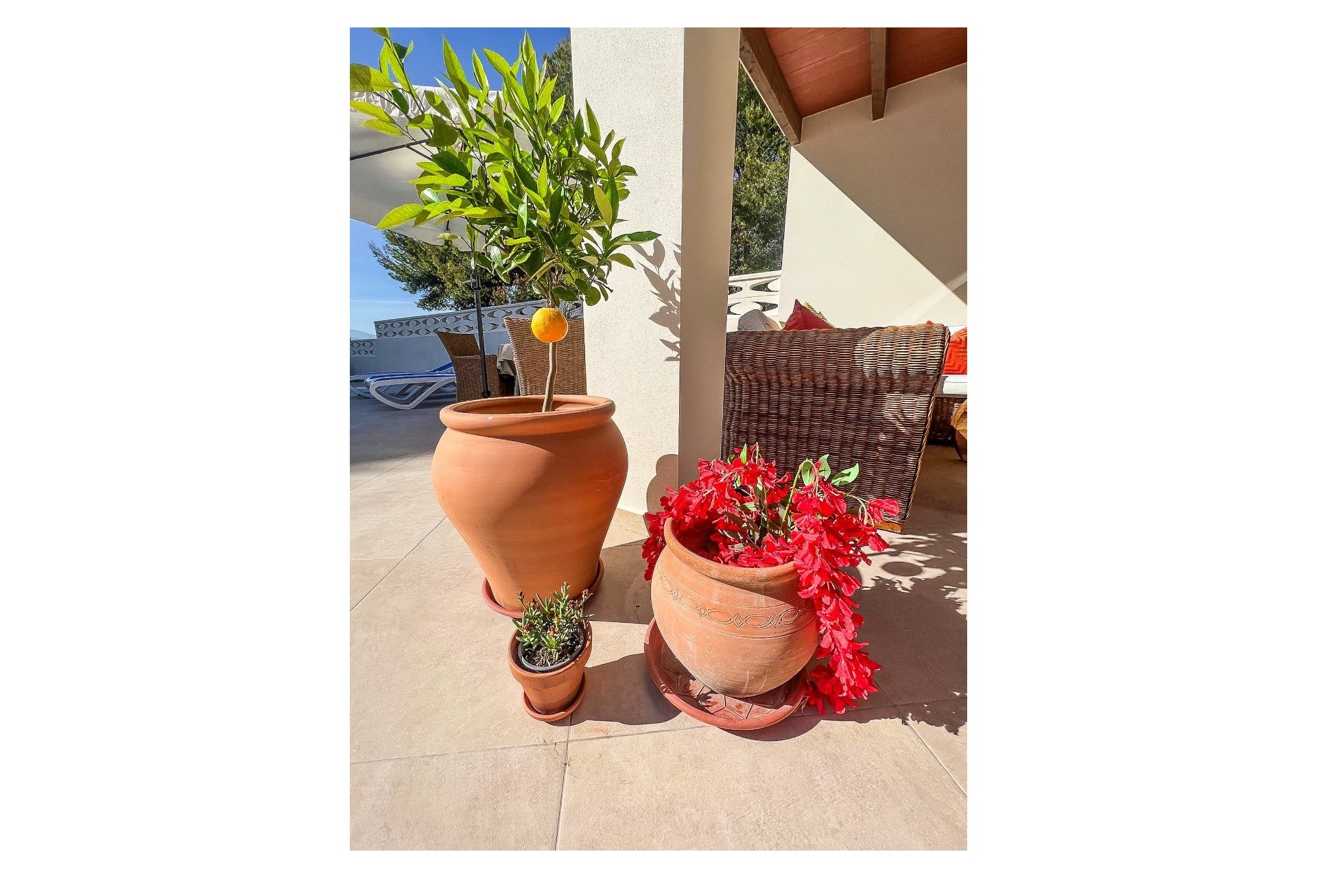 Herverkoop - Chalet / Villa -
Albir