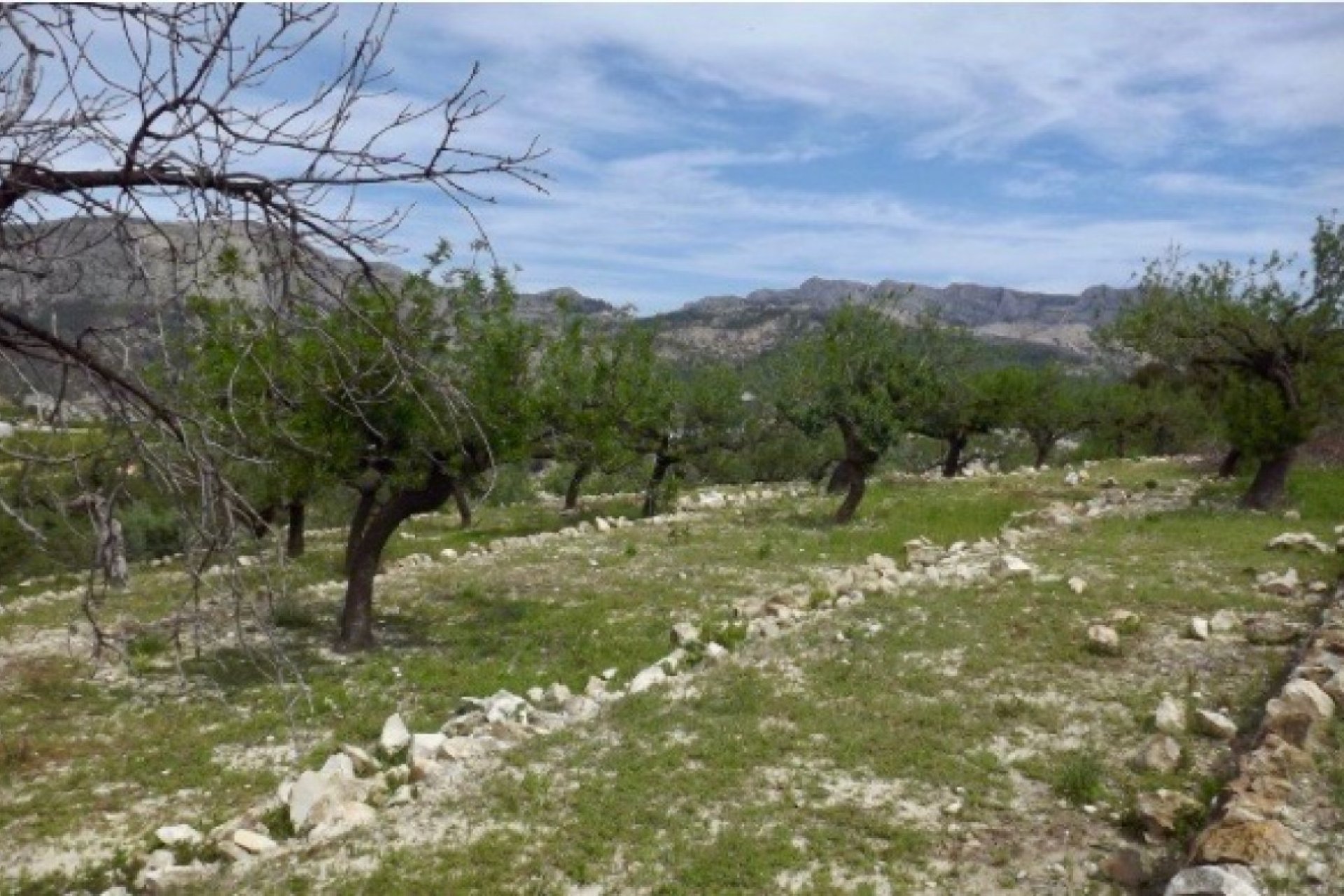 Herverkoop - Perceel / Grond -
Callosa d'en Sarrià - Callosa d En Sarrià