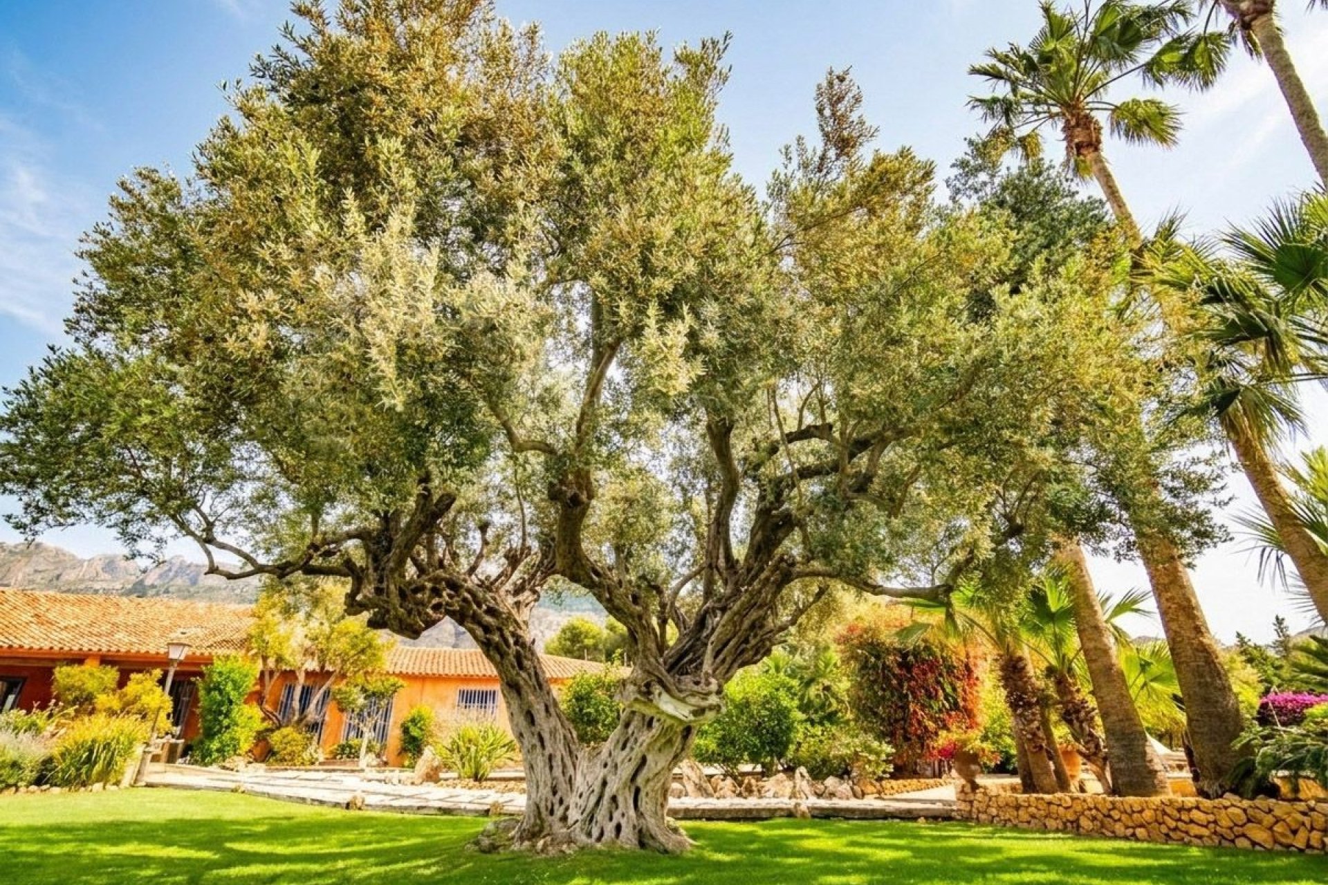 Herverkoop - Villa -
Altea - Altea la Vella