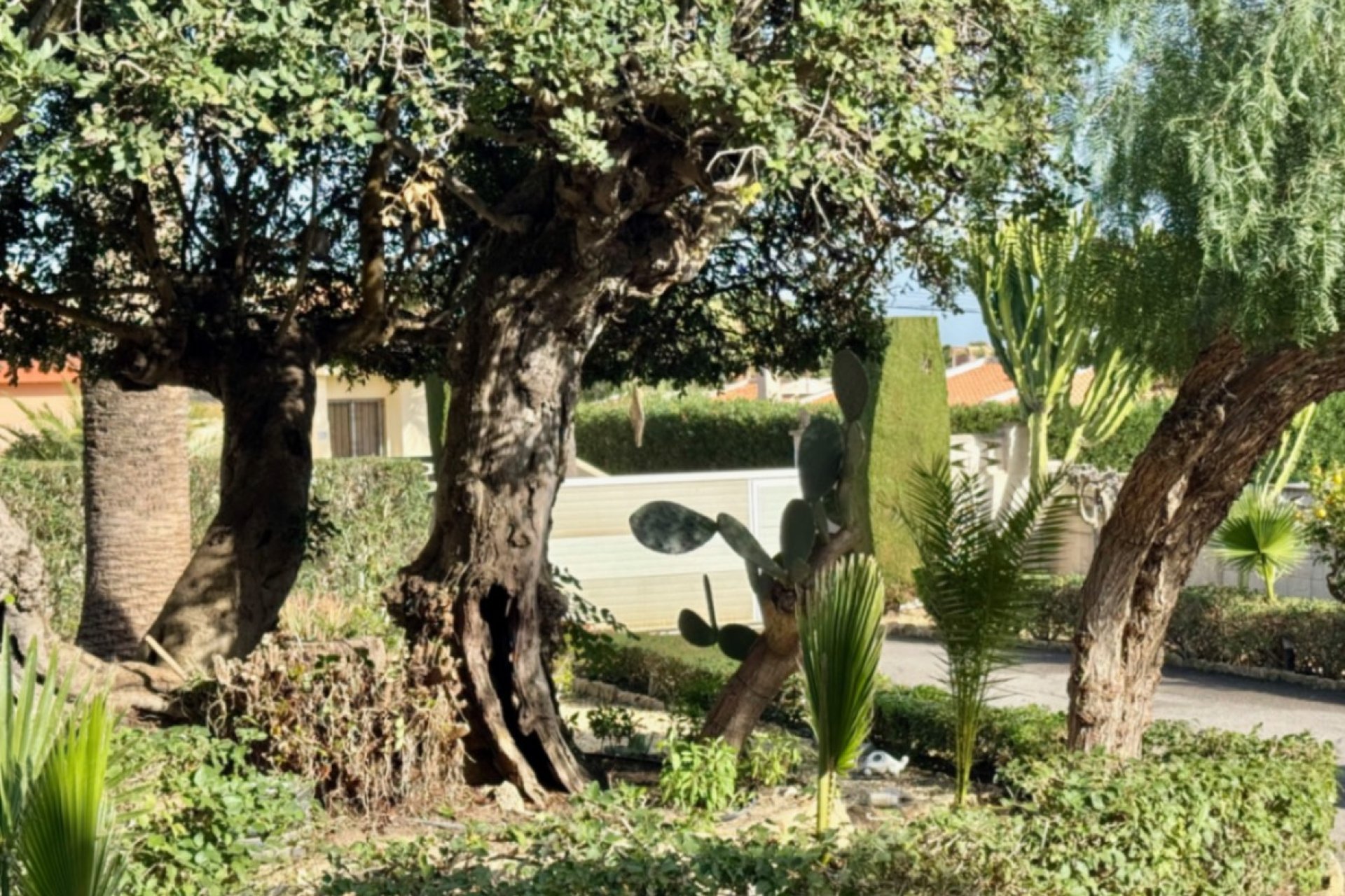 Herverkoop - Villa -
La Nucía