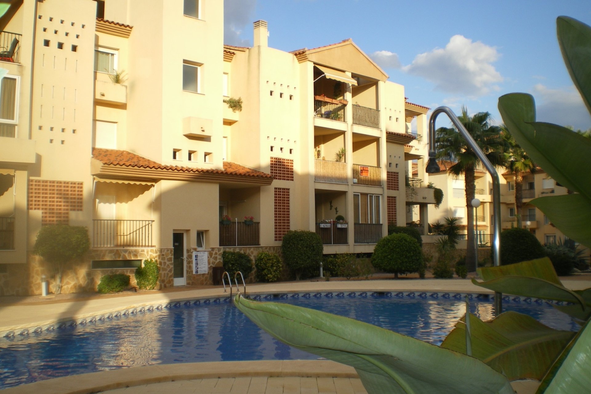 Location à court terme - Appartement -
Albir