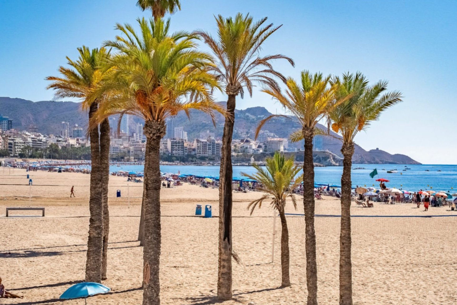 Resale - Apartment -
Benidorm - Playa de Poniente