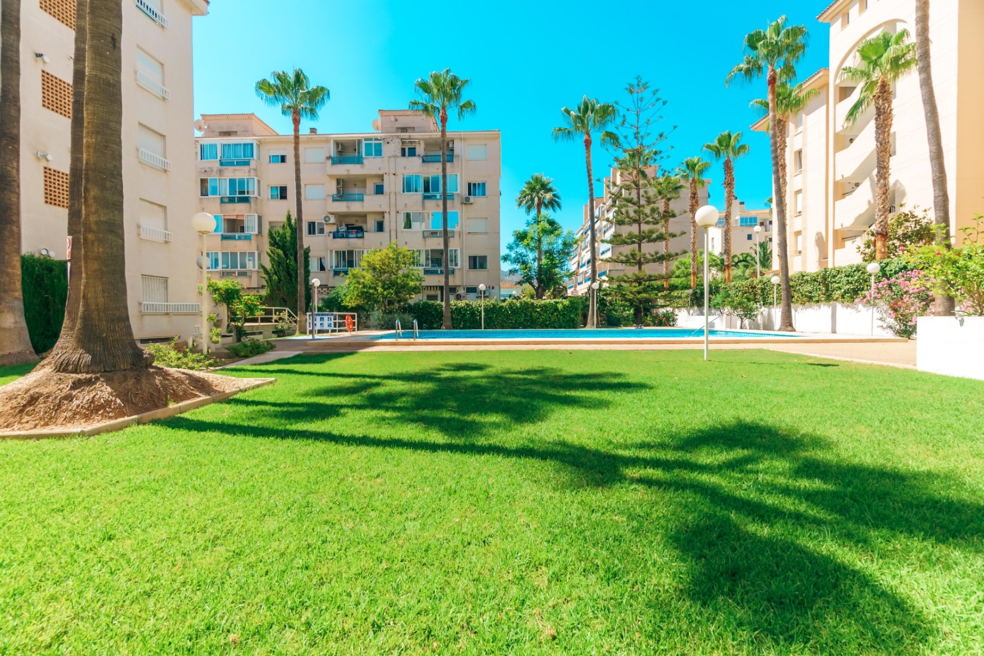 Resale - Apartment / flat -
Albir