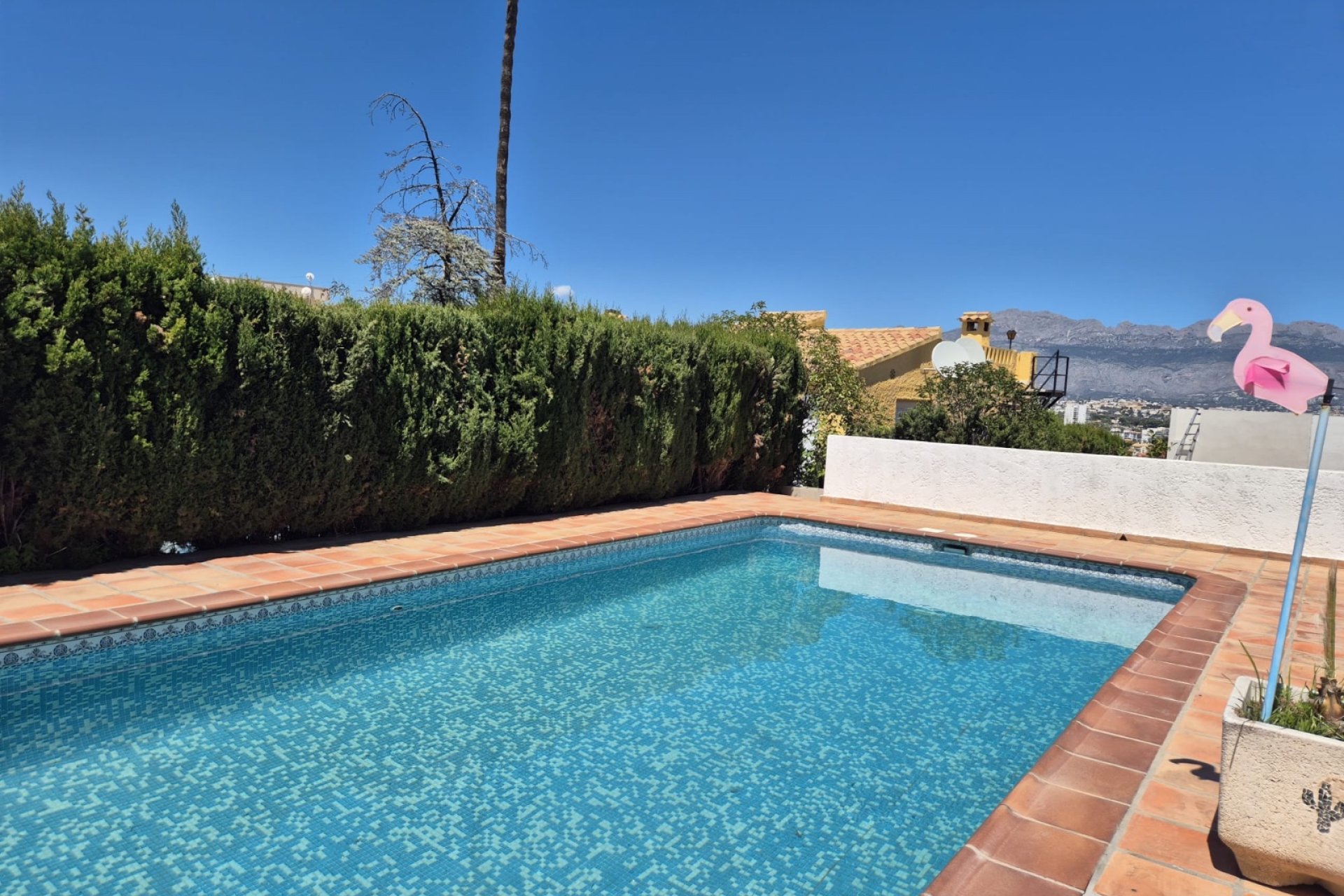 Resale -  Chalet / Villa -
Albir