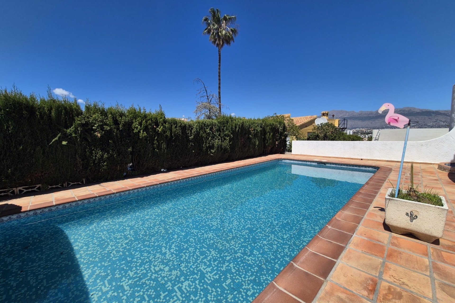 Resale -  Chalet / Villa -
Albir