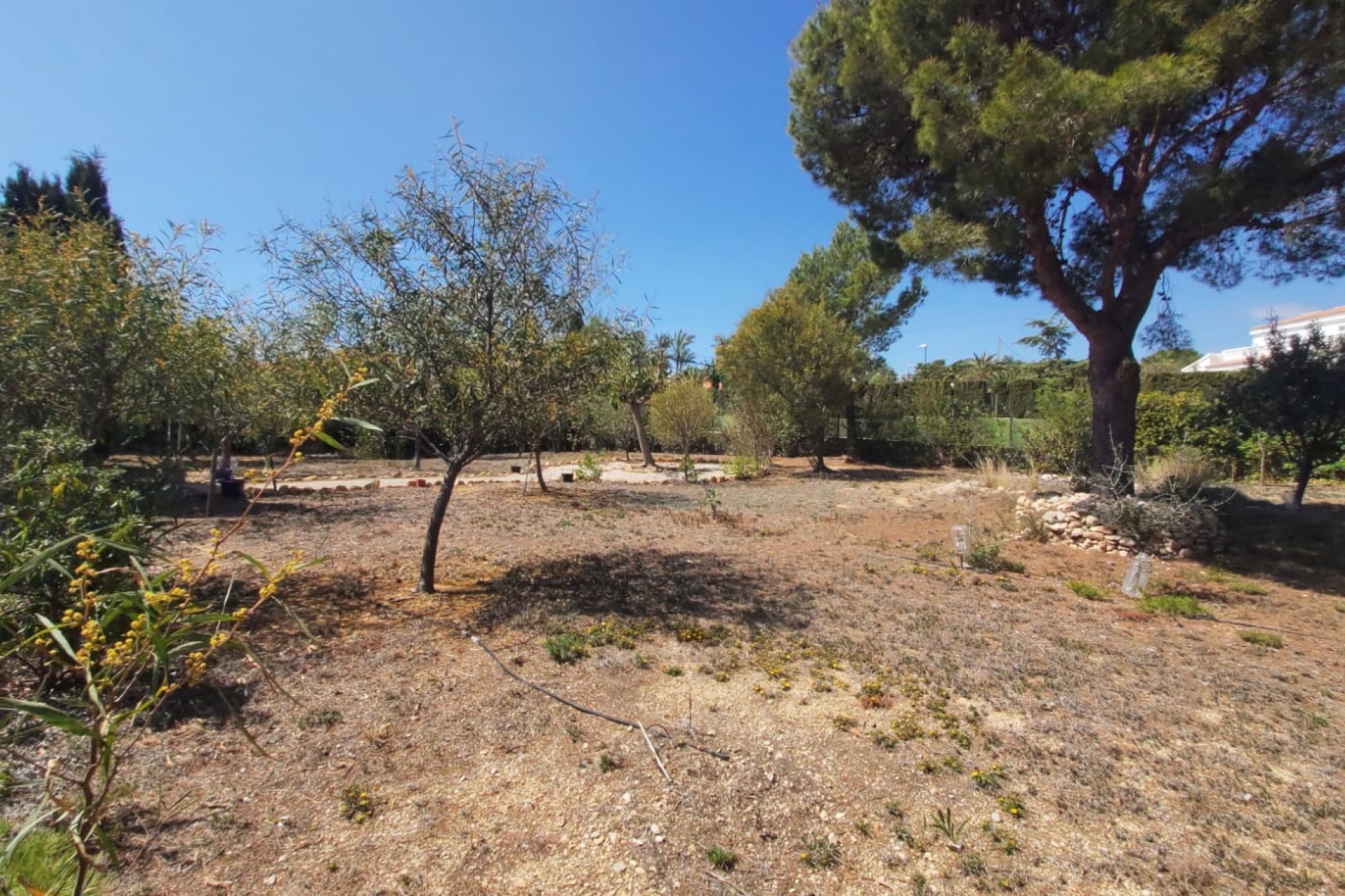 Resale -  Chalet / Villa -
La Nucía