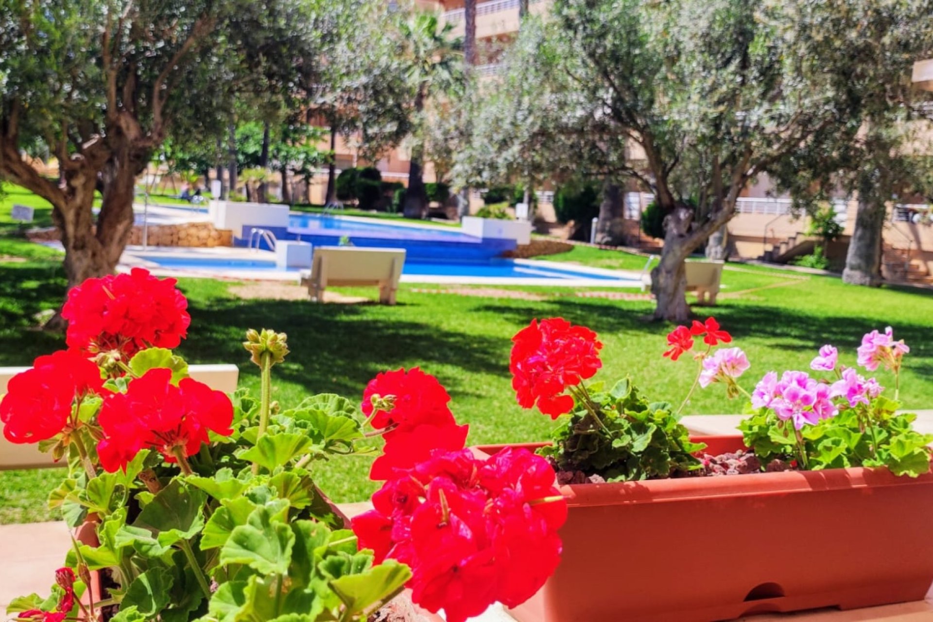 Resale - Penthouse -
Albir