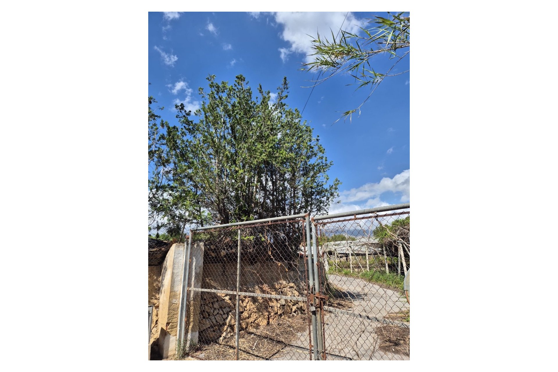 Resale - Rustic Country Property -
La Nucía