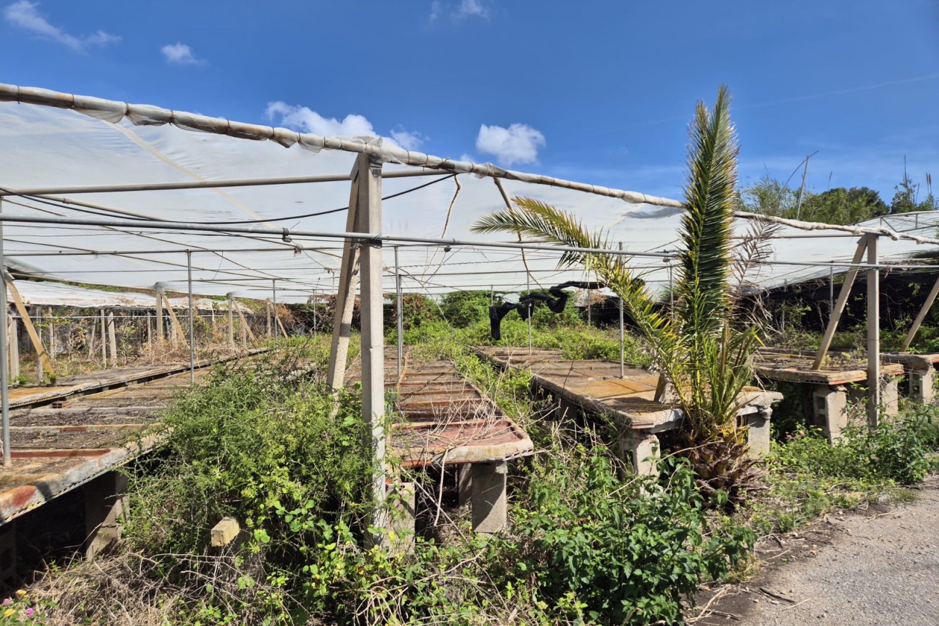 Resale - Rustic Country Property -
La Nucía