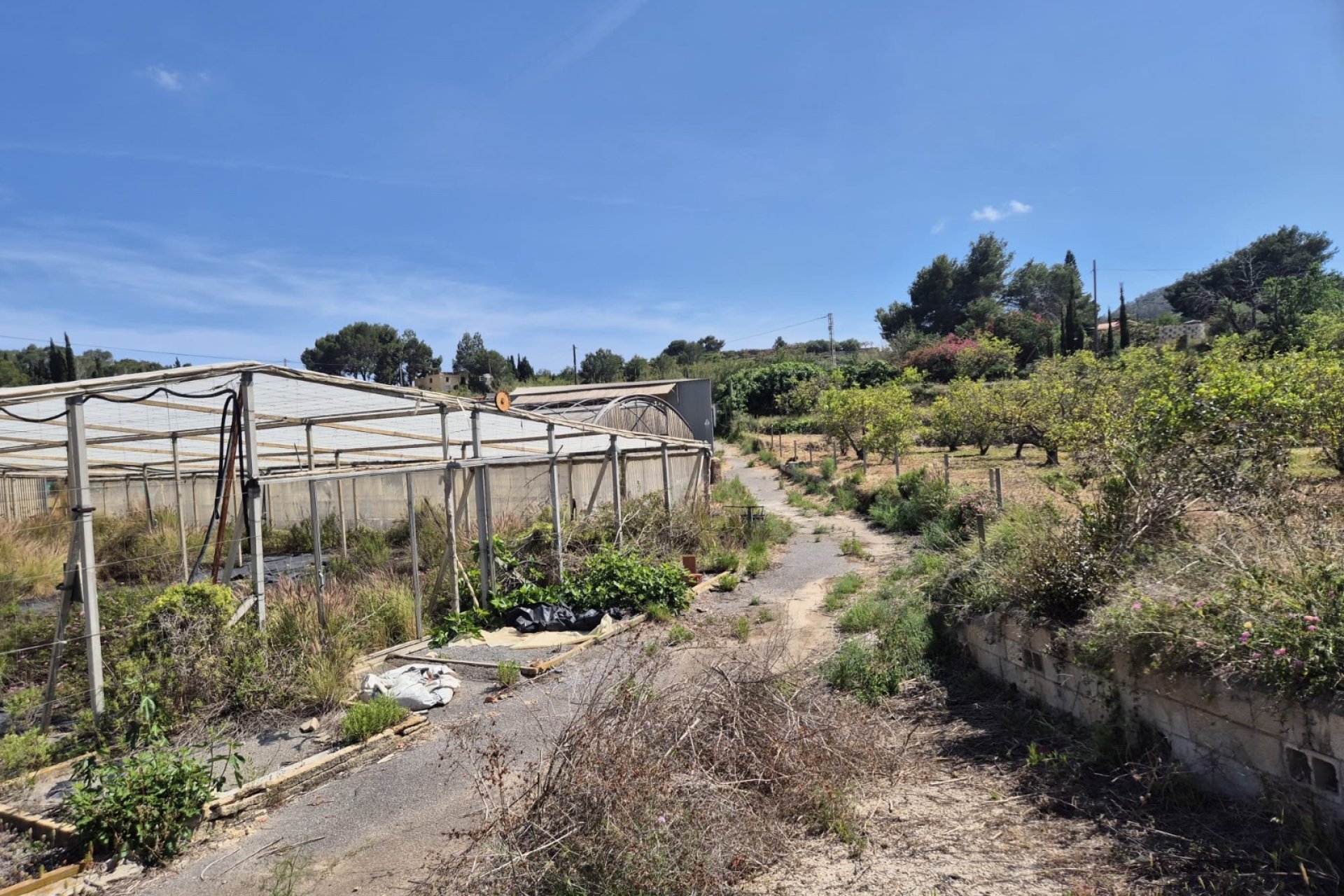 Resale - Rustic Country Property -
La Nucía