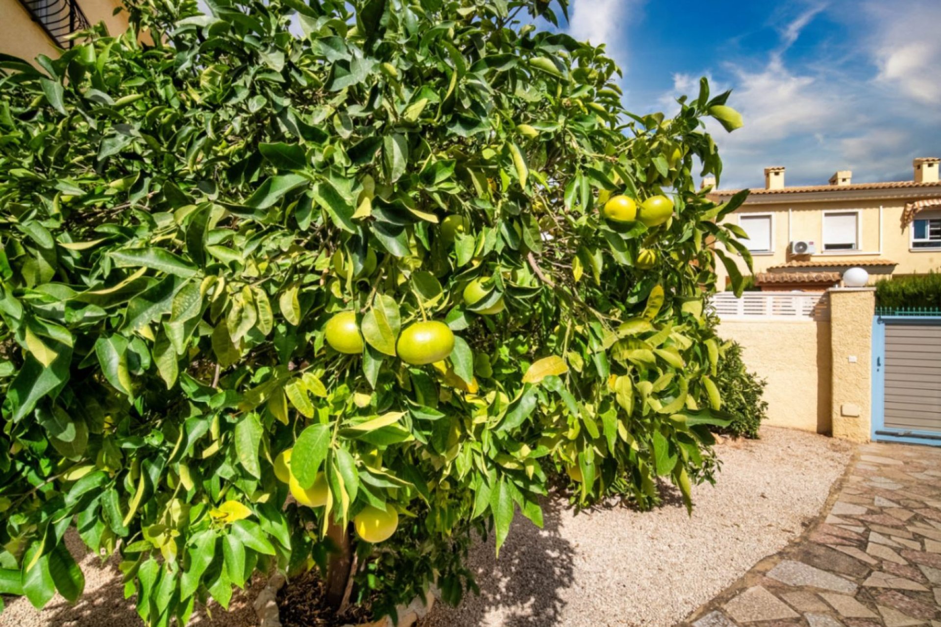 Resale - Villa -
Alfaz del Pi - Colonia Escandinavia