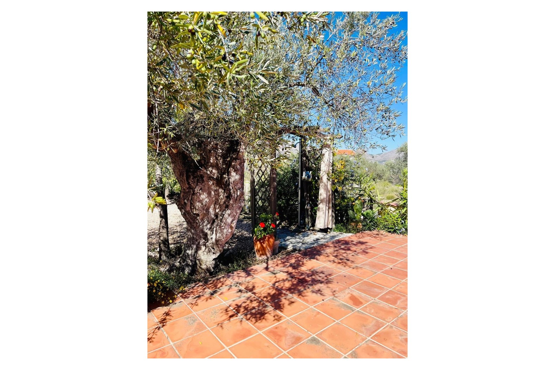 Resale - Village house -
Benifato