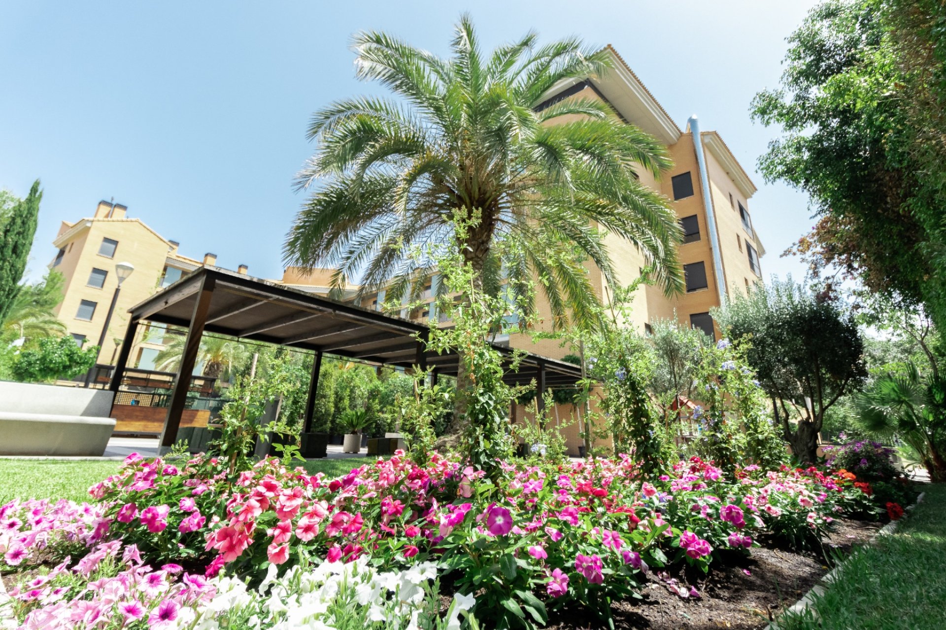 Reventa - Apartamento / piso -
Albir