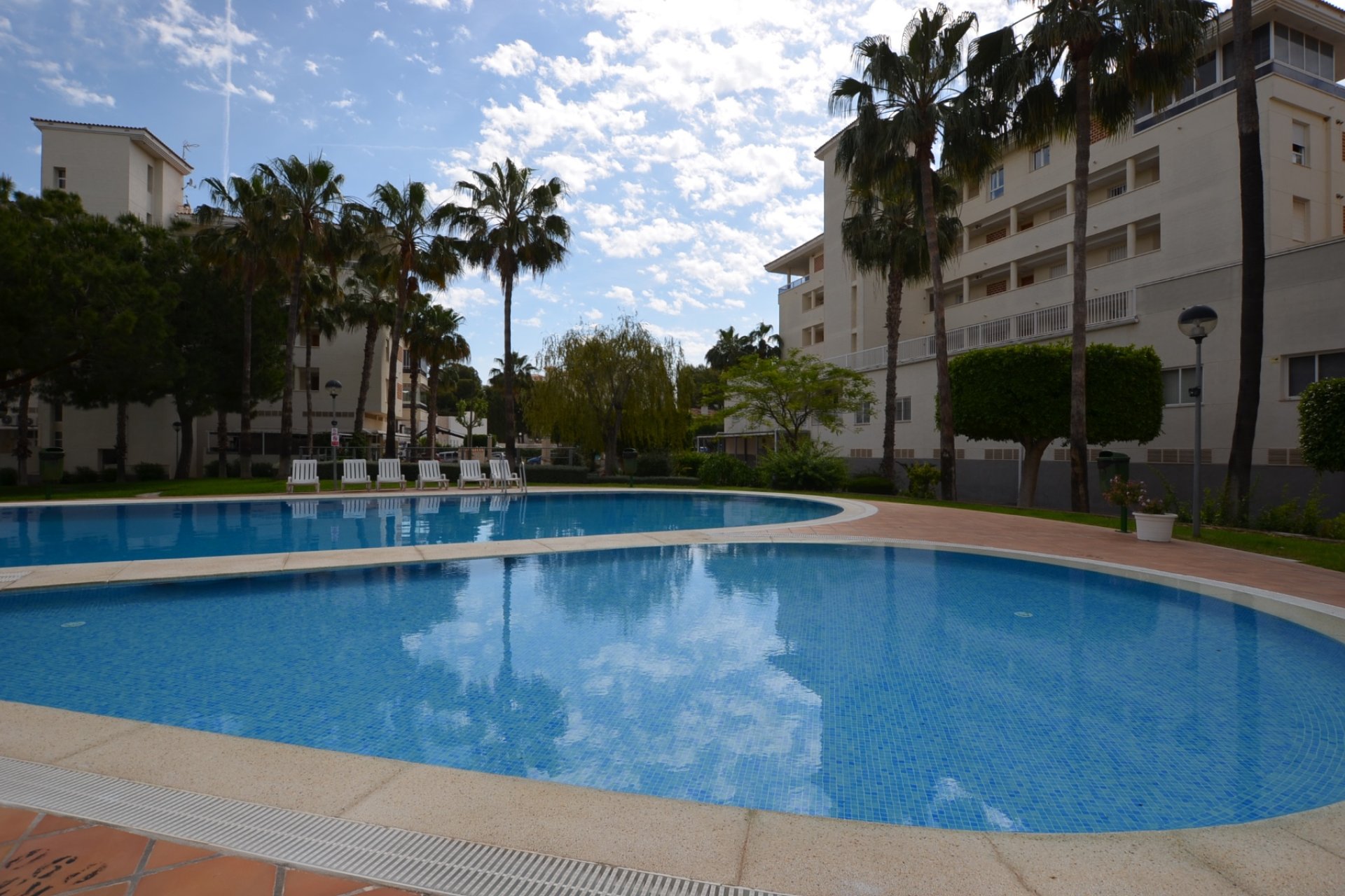 Reventa - Apartamento / Piso -
Albir