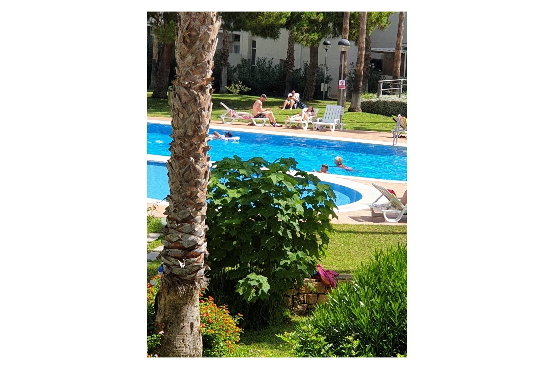 Reventa - Apartamento / Piso -
Albir