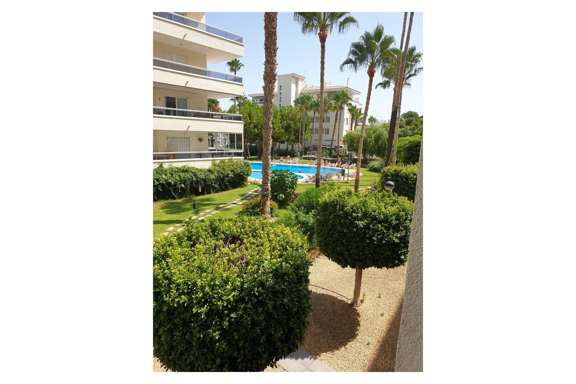 Reventa - Apartamento / Piso -
Albir
