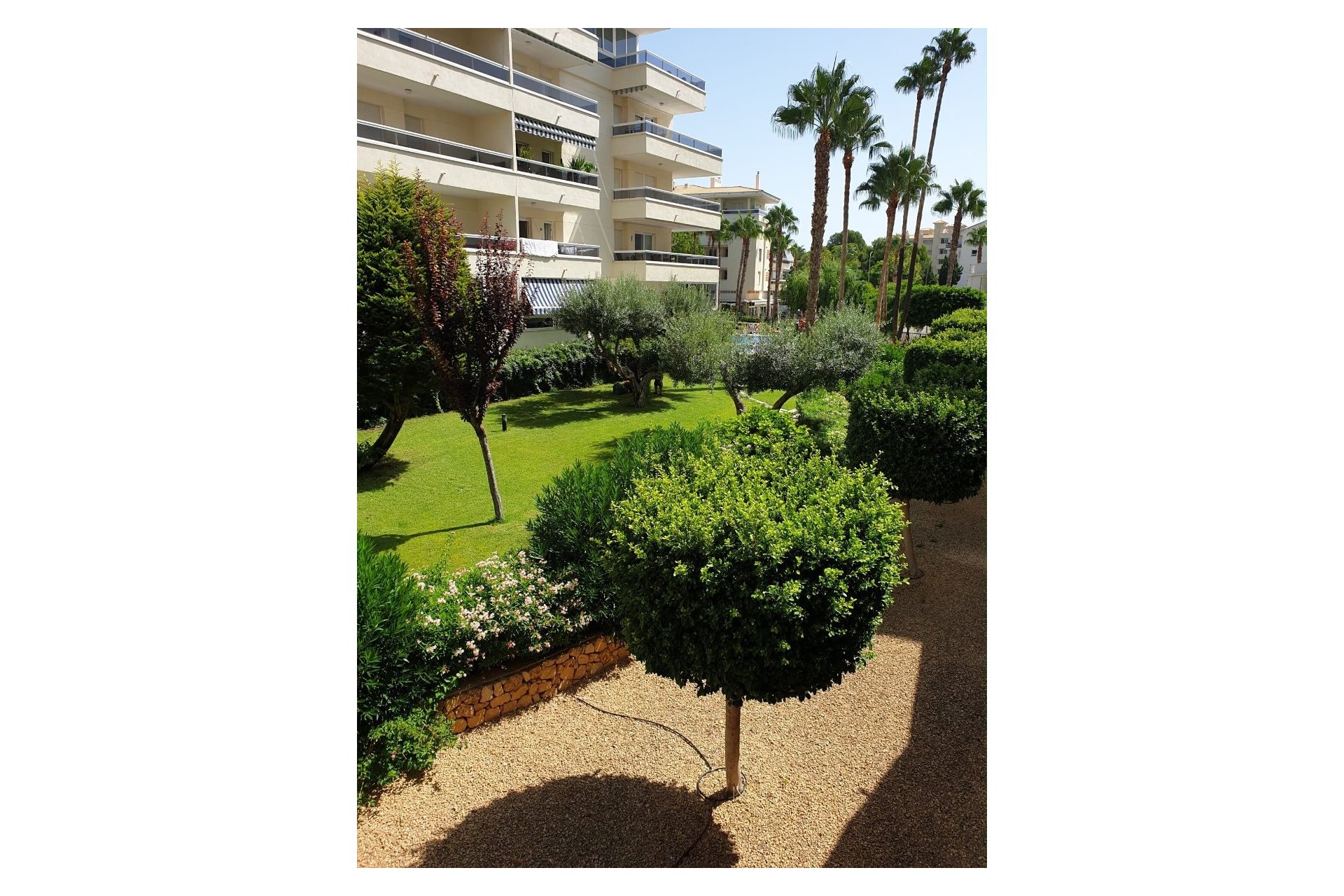 Reventa - Apartamento / Piso -
Albir