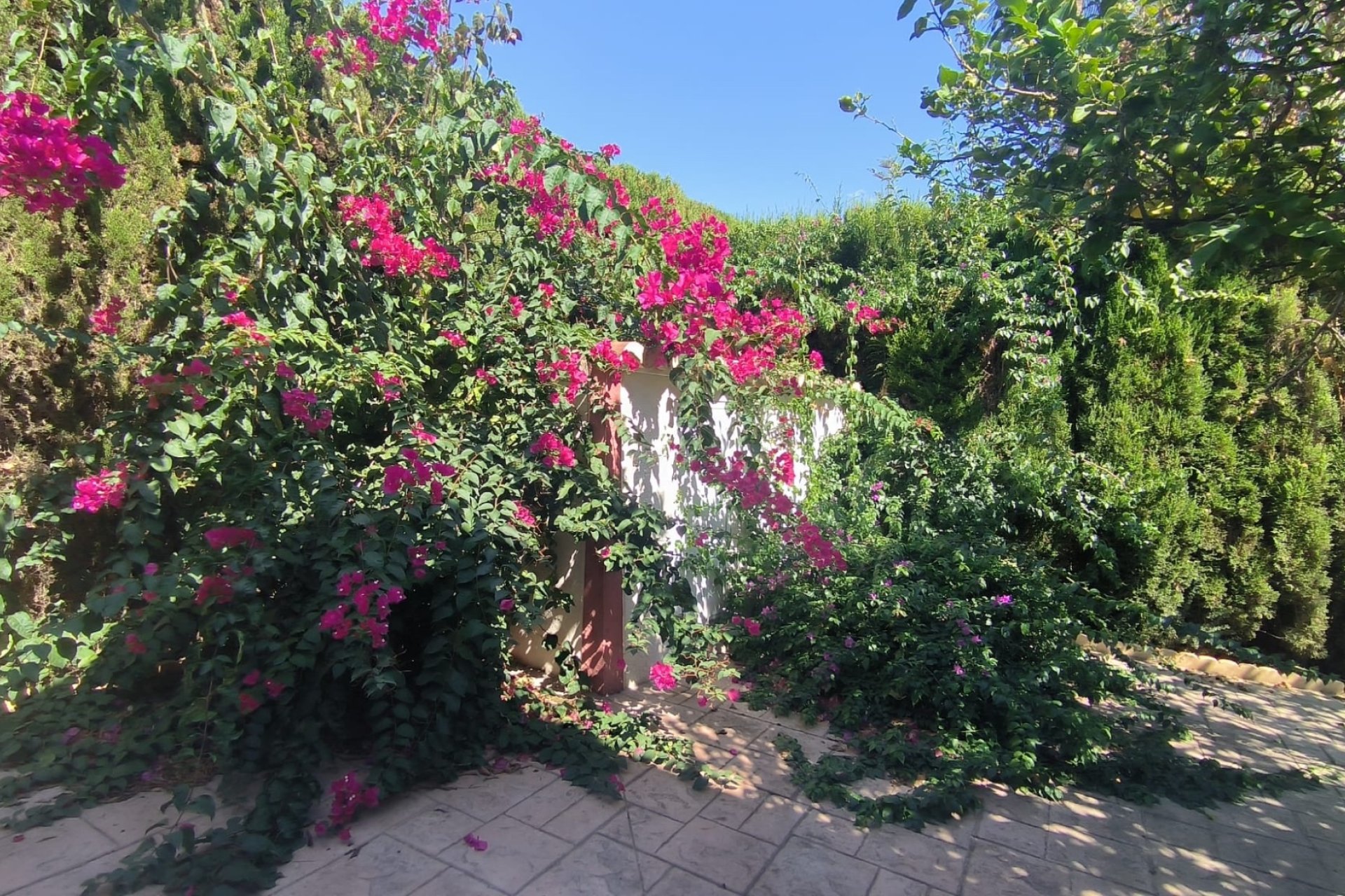 Reventa - Chalet / Villa  -
Benidorm