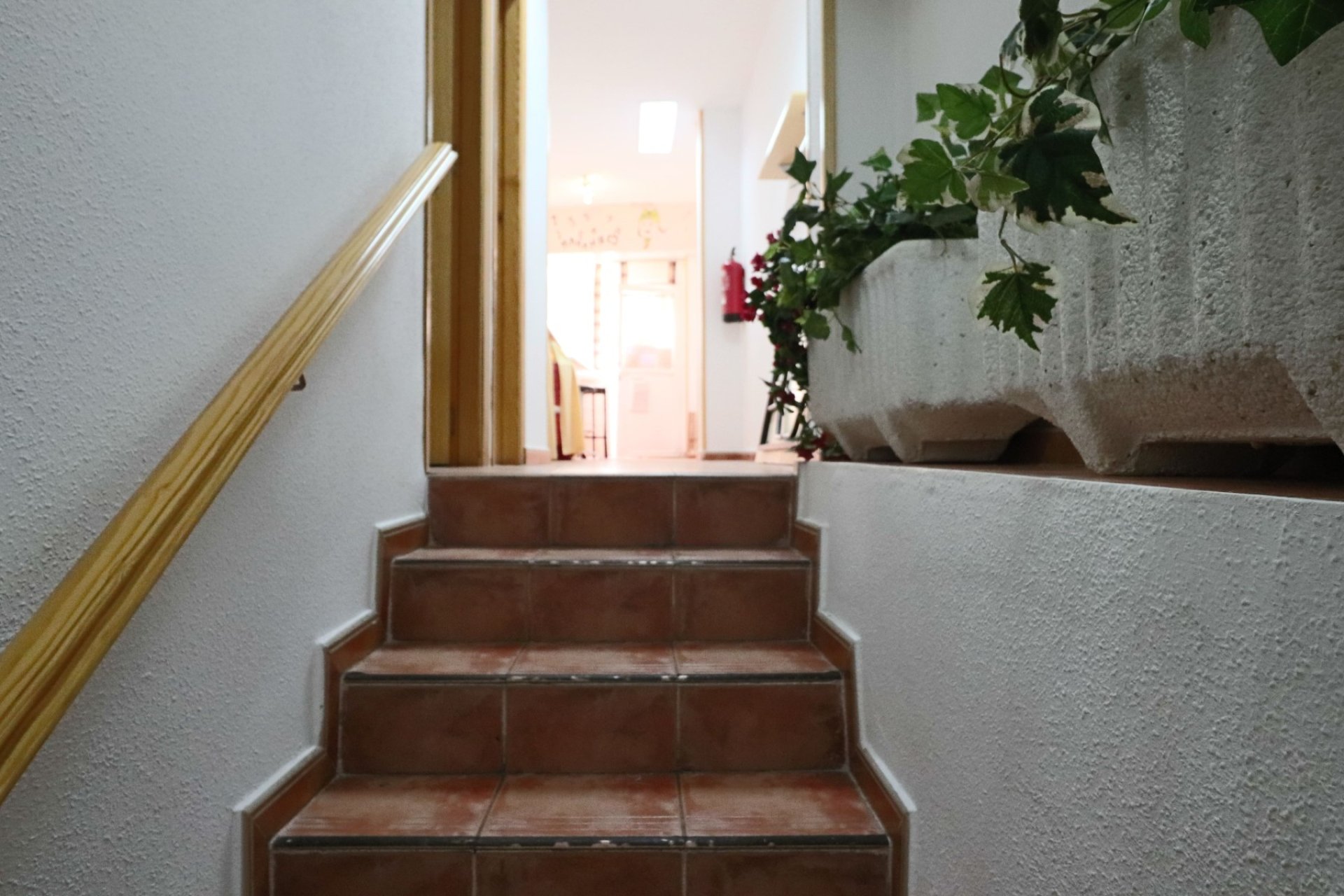 Reventa - Comercial -
Benidorm - Old town / Port