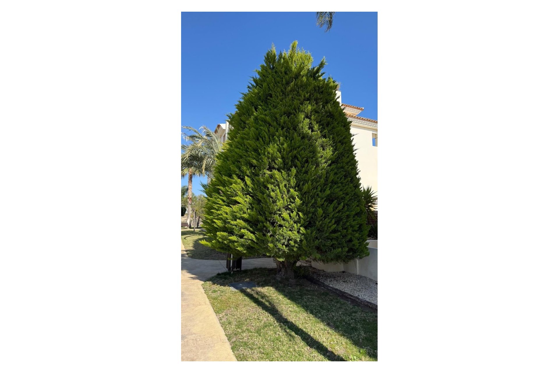 Reventa - DÚplex -
Finestrat