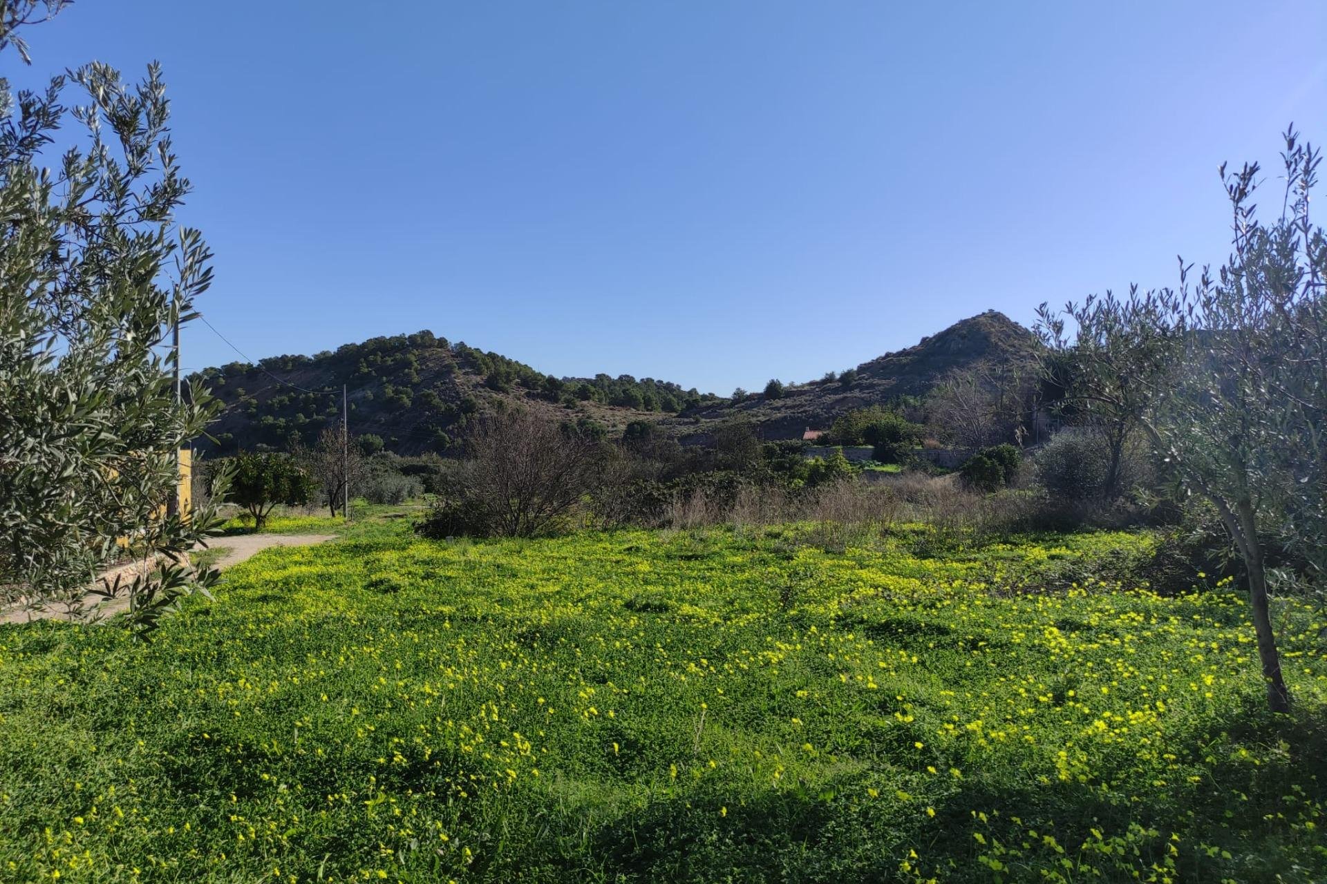 Reventa - Parcela / Terreno -
Altea - Urbanizaciones