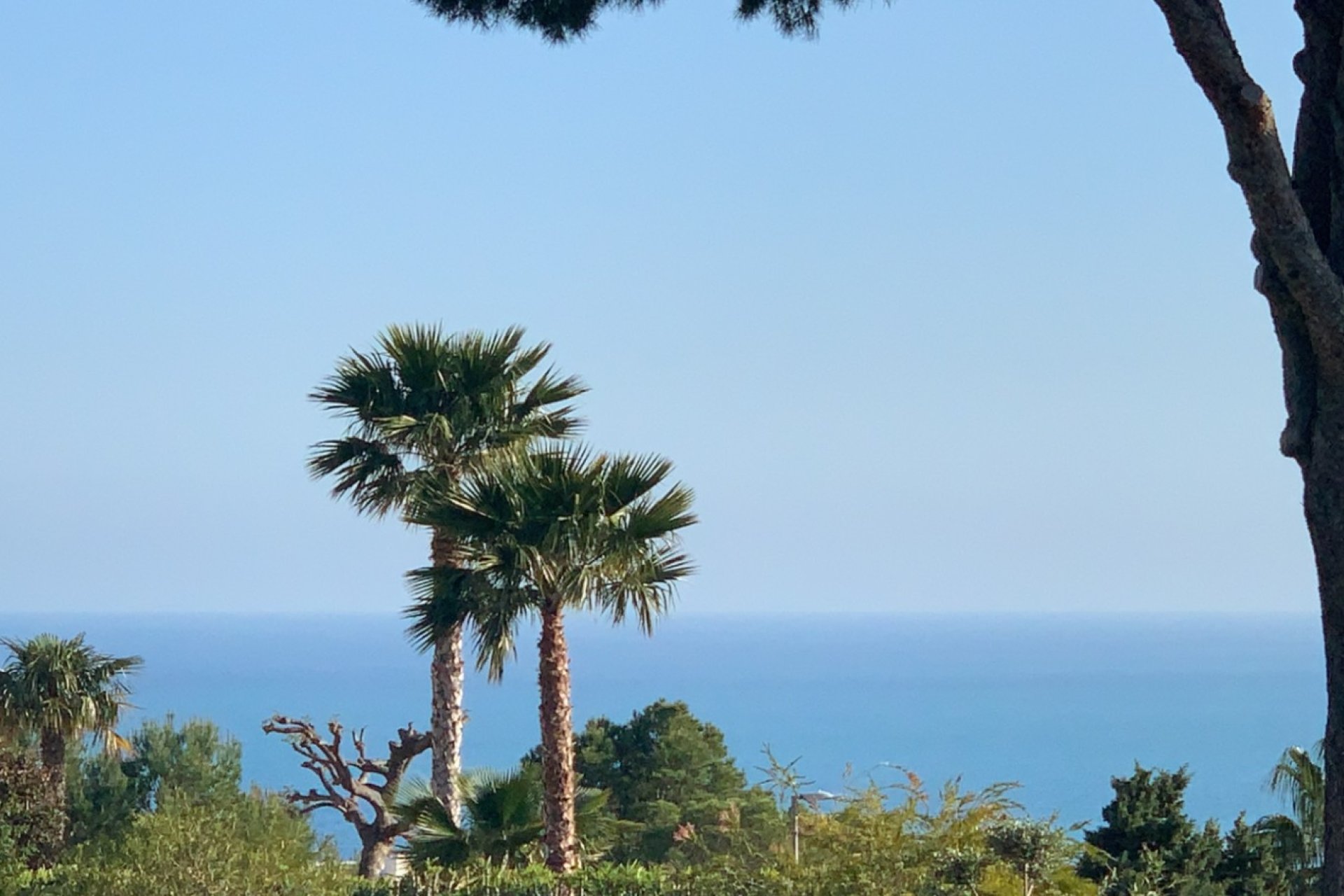 Reventa - Villa -
Altea - Altea la Vella