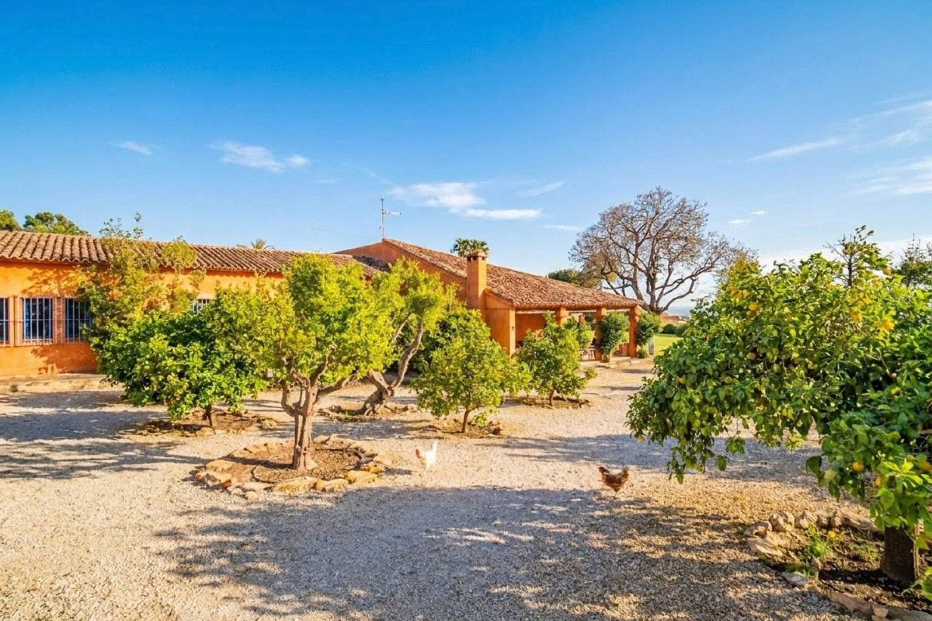 Reventa - Villa -
Altea - Altea la Vella