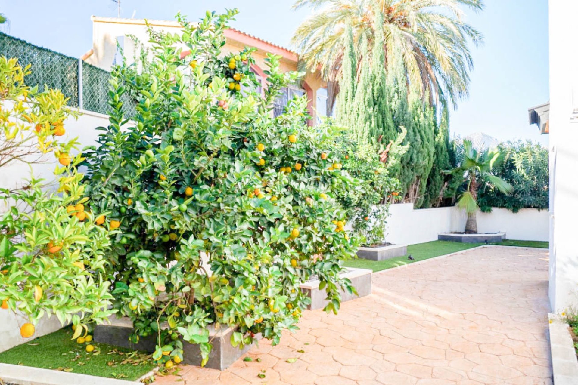 Revente -  Chalet / Villa -
Albir