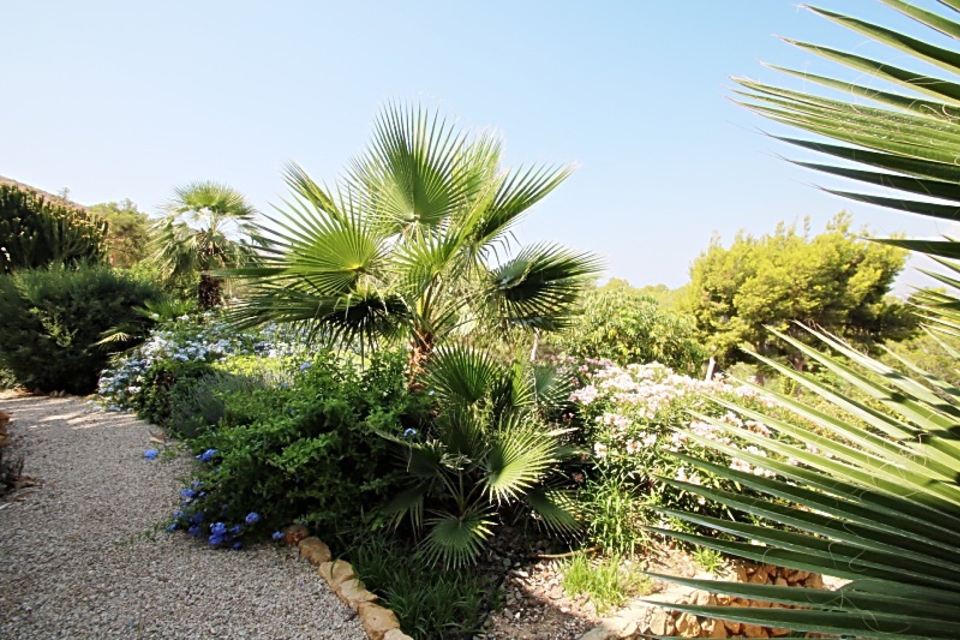 Revente -  Chalet / Villa -
Albir