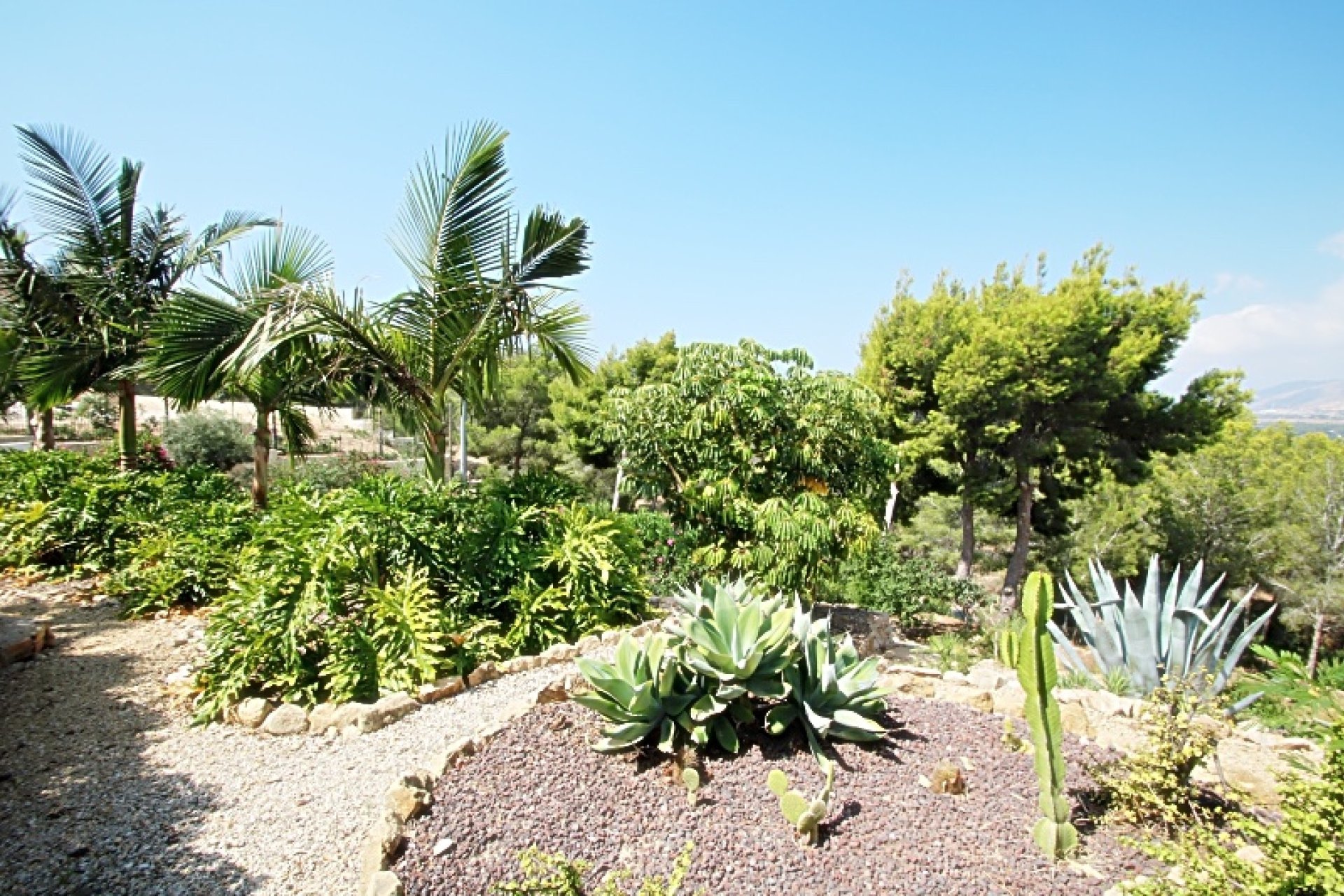 Revente -  Chalet / Villa -
Albir