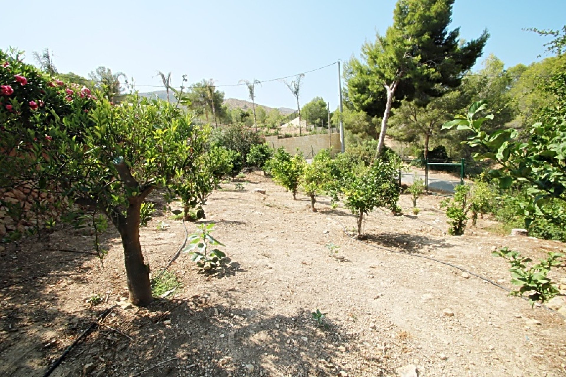 Revente -  Chalet / Villa -
Albir