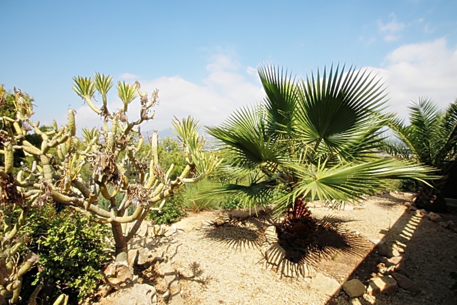 Revente -  Chalet / Villa -
Albir