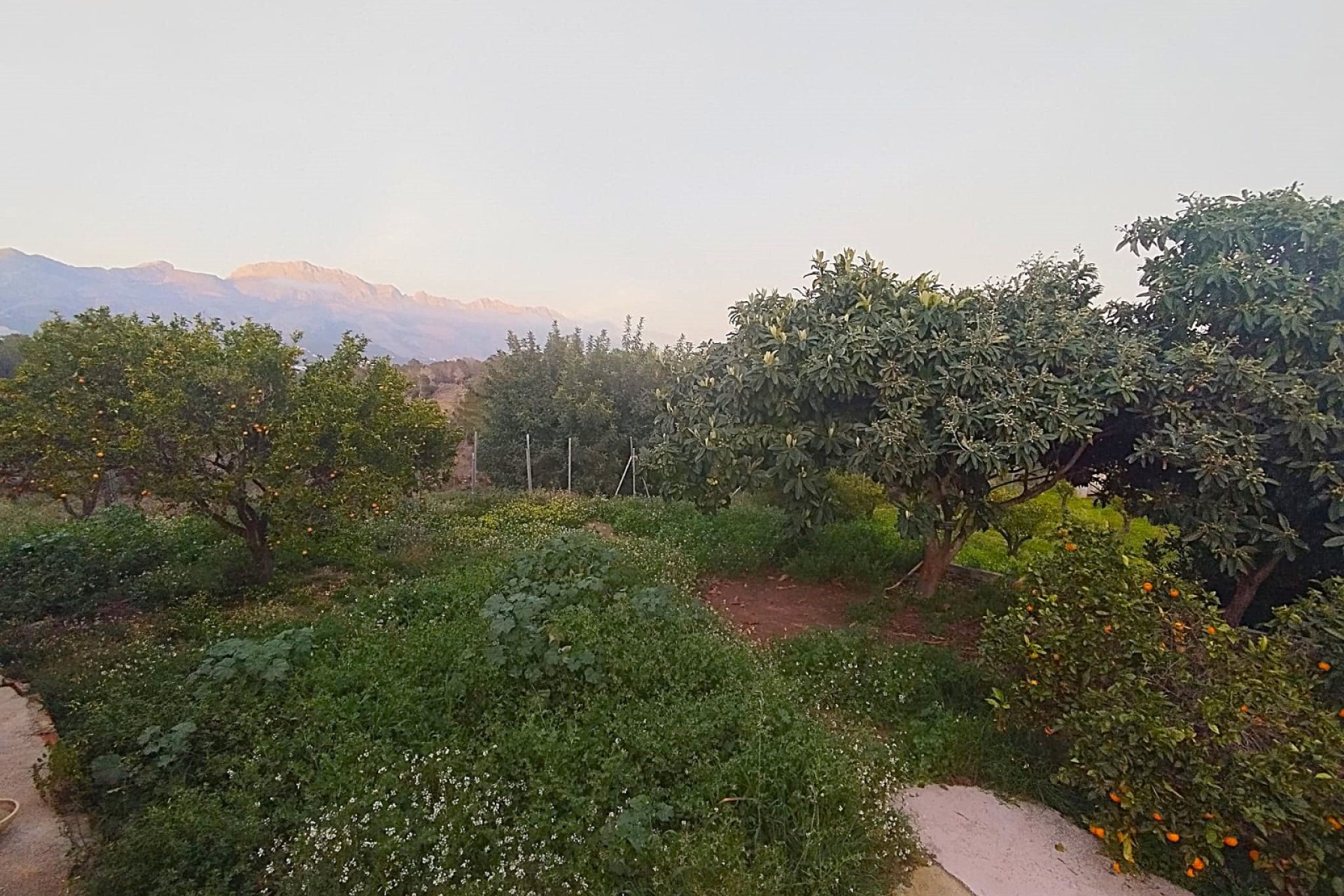 Revente -  Chalet / Villa -
Altea