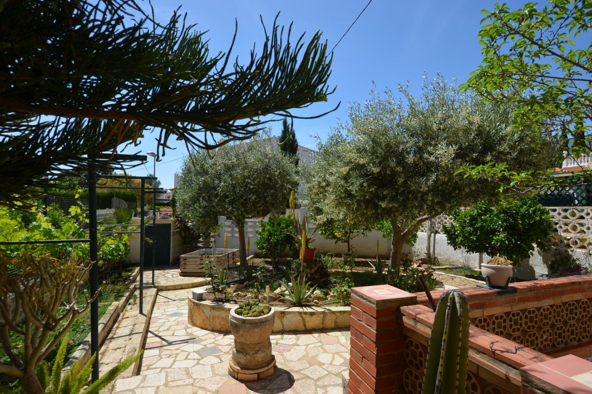 Revente -  Chalet / Villa -
La Nucía