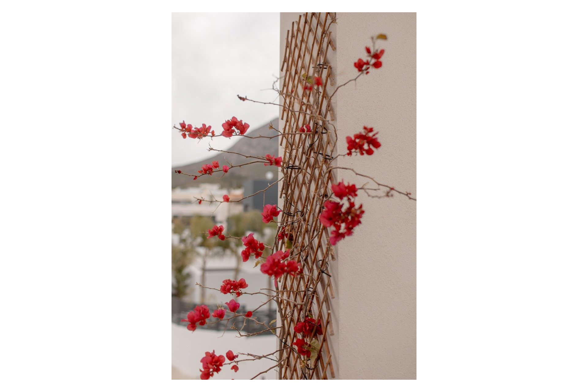 Revente - Maison mitoyenne -
Polop