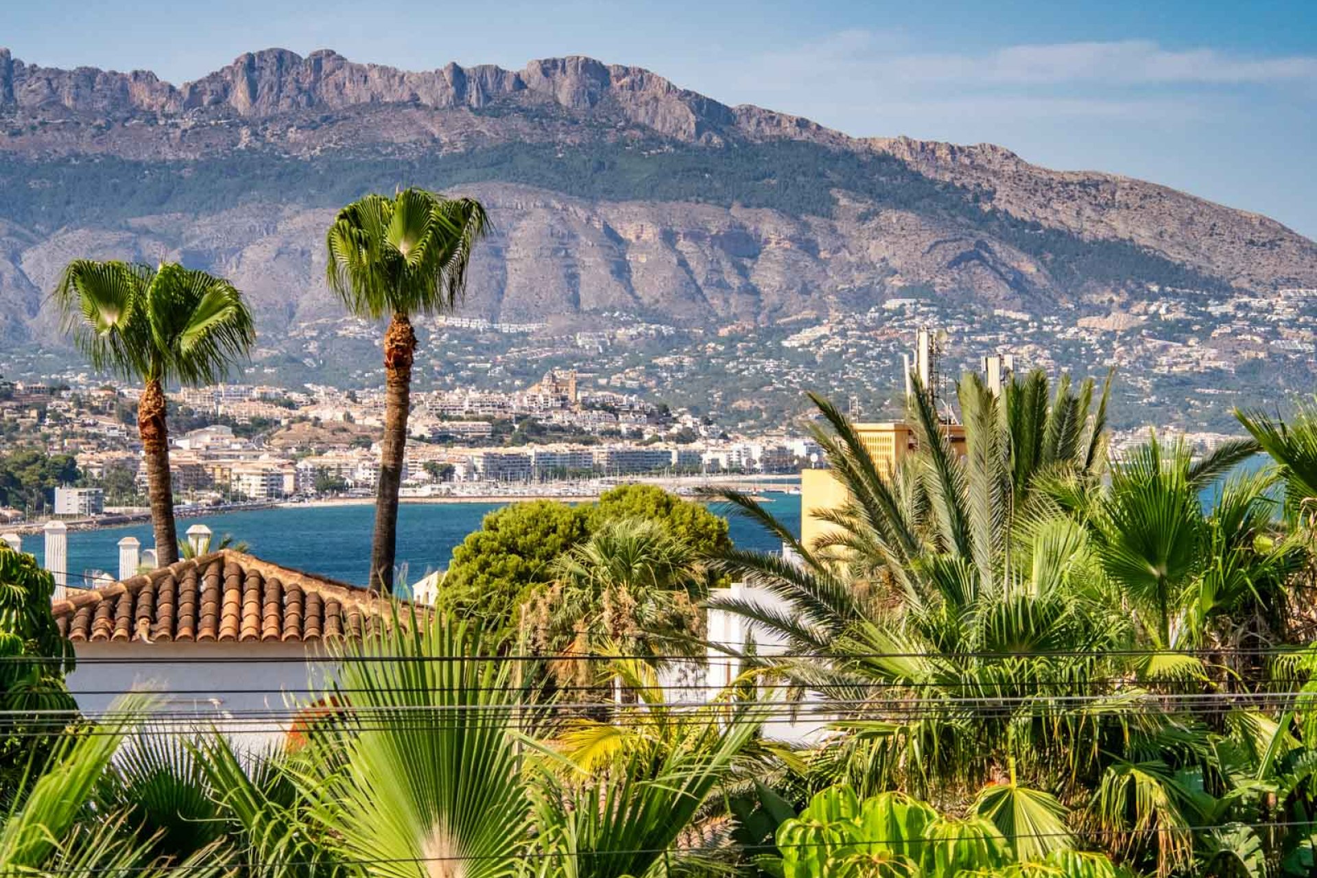 Revente - Villa -
Albir