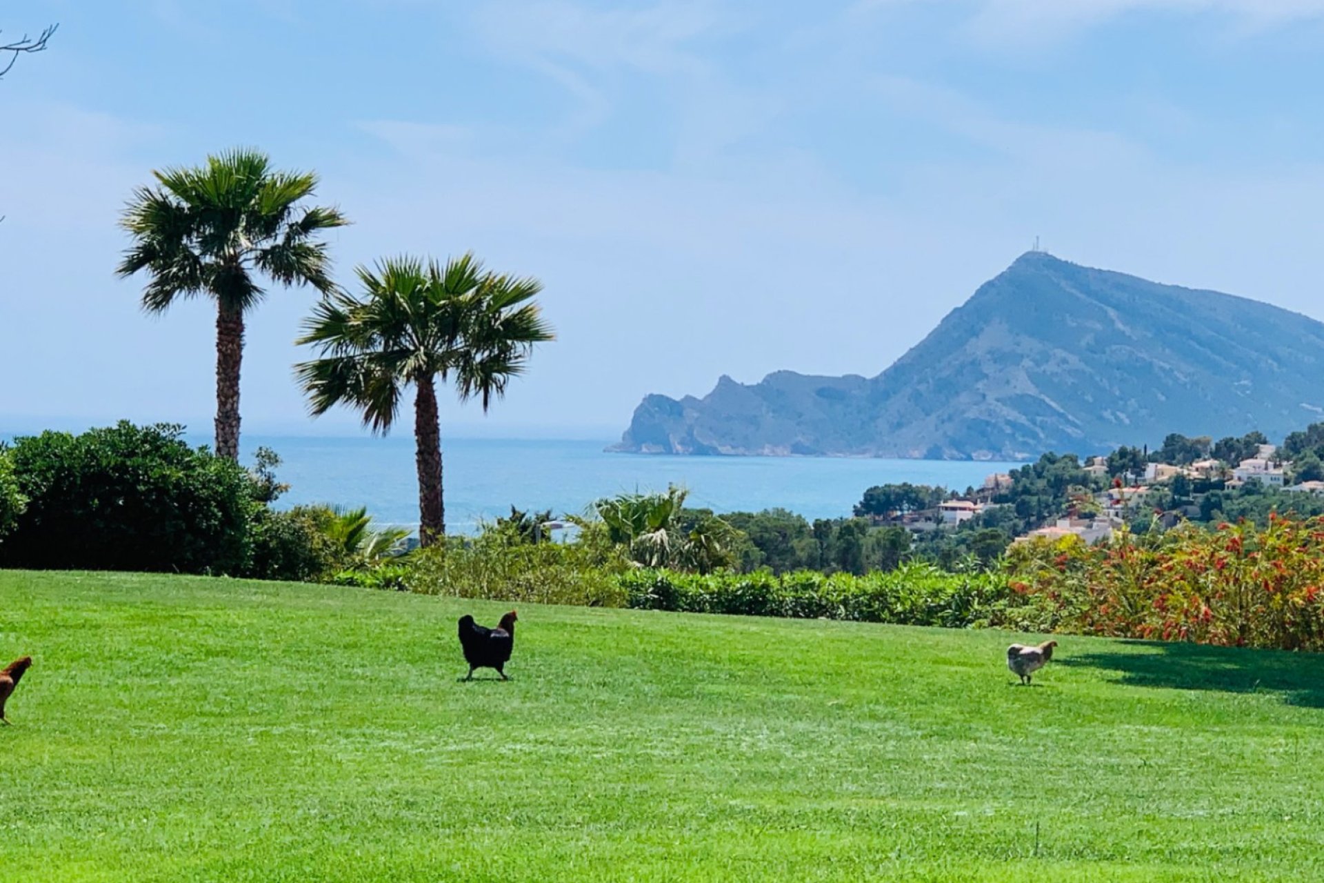 Revente - Villa -
Altea - Altea la Vella