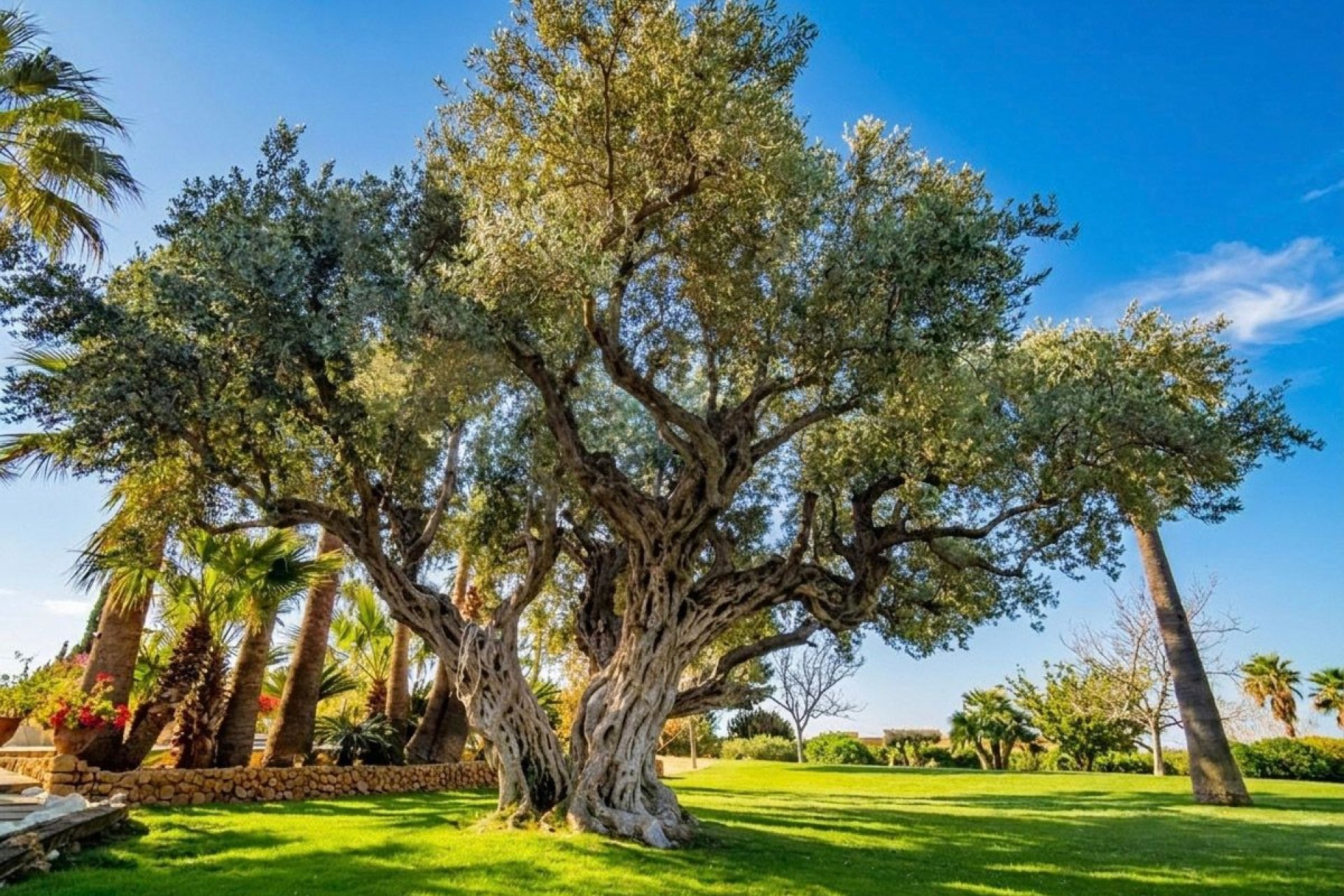 Revente - Villa -
Altea - Altea la Vella