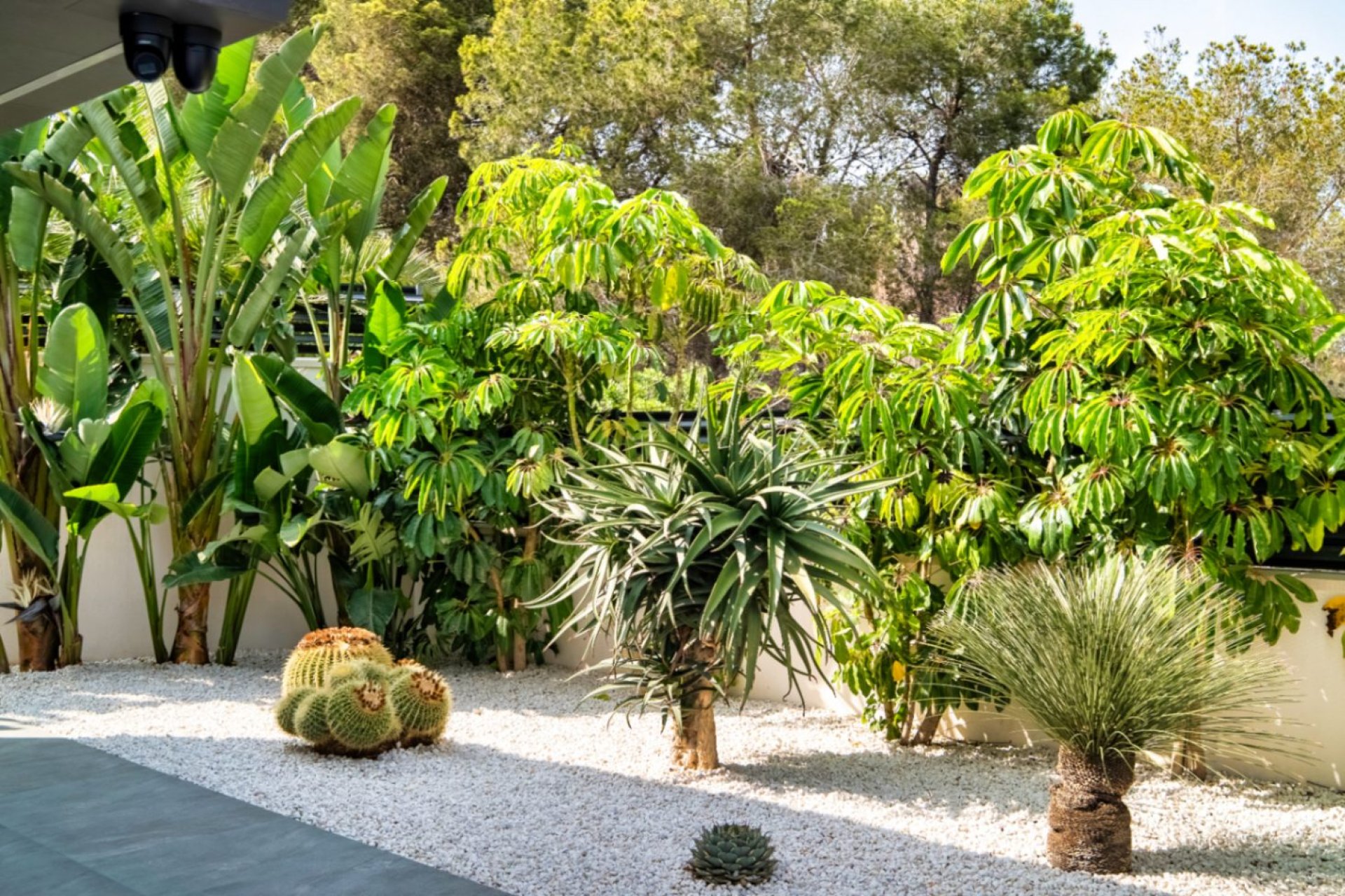 Revente - Villa -
Benidorm - Playa de Poniente