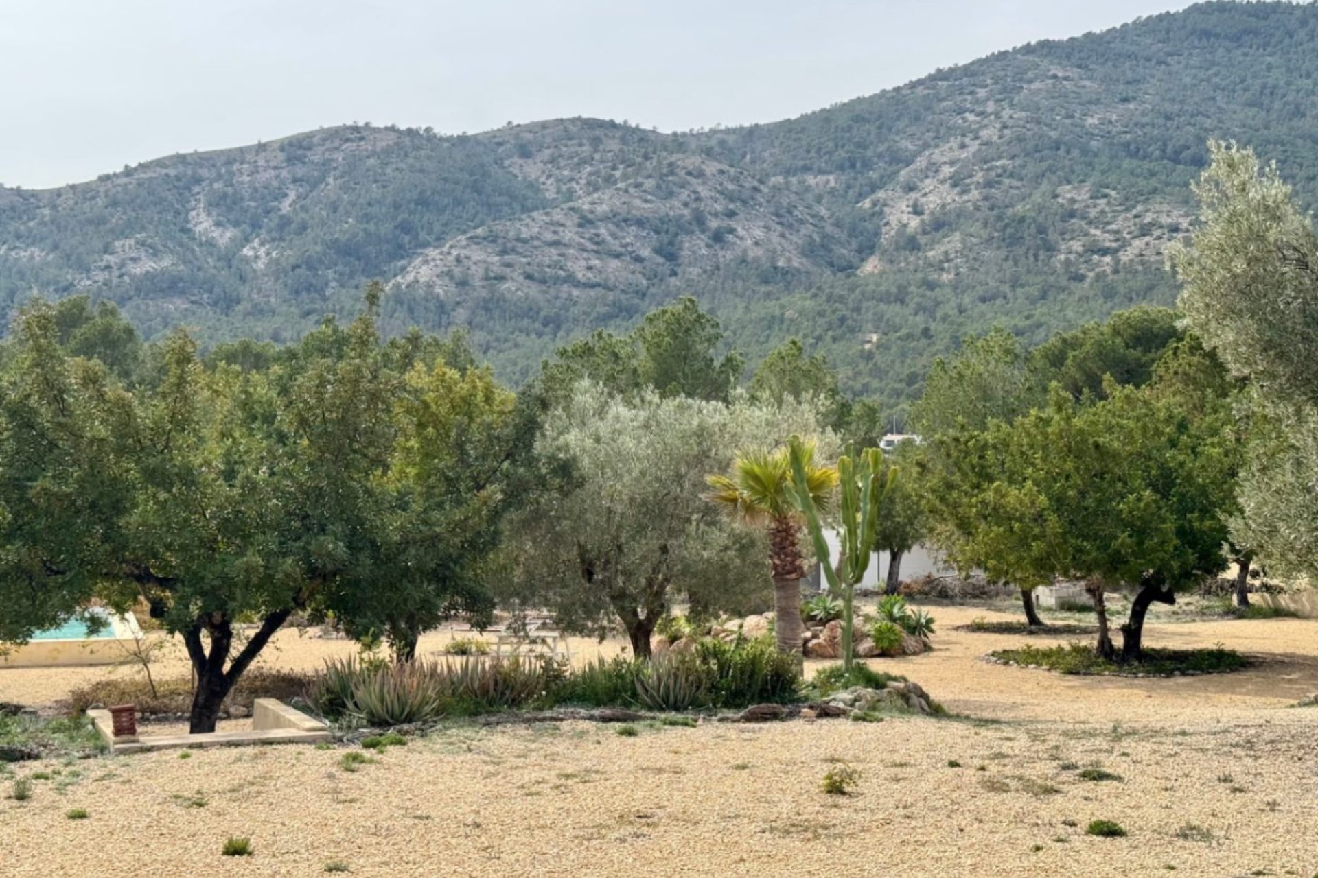 Revente - Villa -
Finestrat - Finestrat pueblo