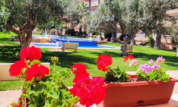 Toppleilighet - Videresalg - Albir - Albir