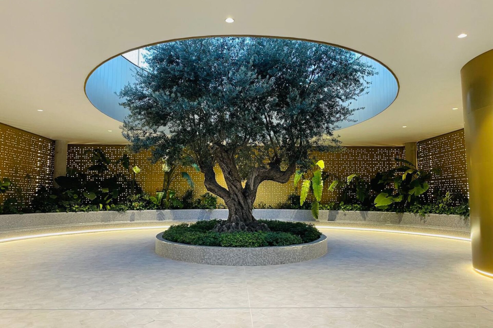 Videresalg - Leilighet / leilighet -
Benidorm - Zona de Poniente