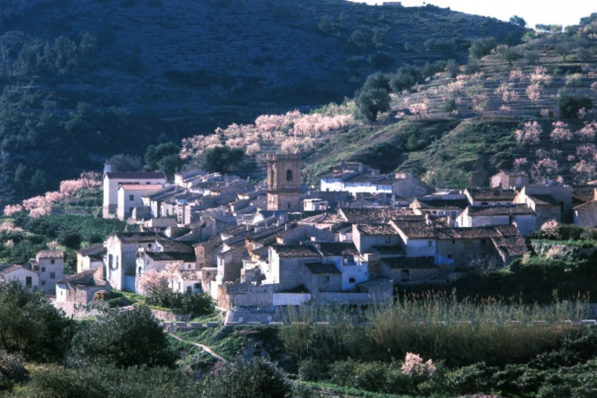 Videresalg - Townhouse / Semi -
Bolulla - CENTRO