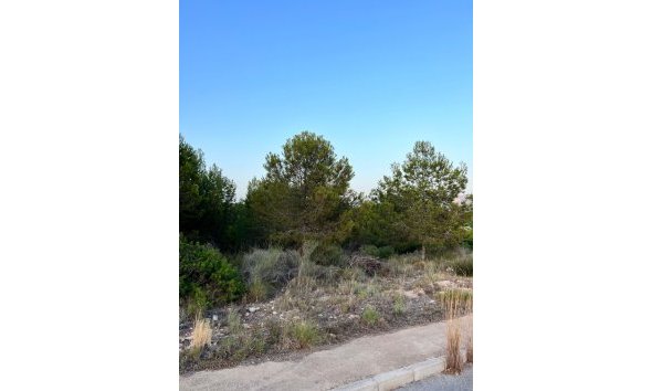 Herverkoop - Perceel / Grond -
Benidorm - Zona de Poniente