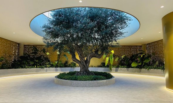 Herverkoop - Appartement / flat -
Benidorm - Zona de Poniente