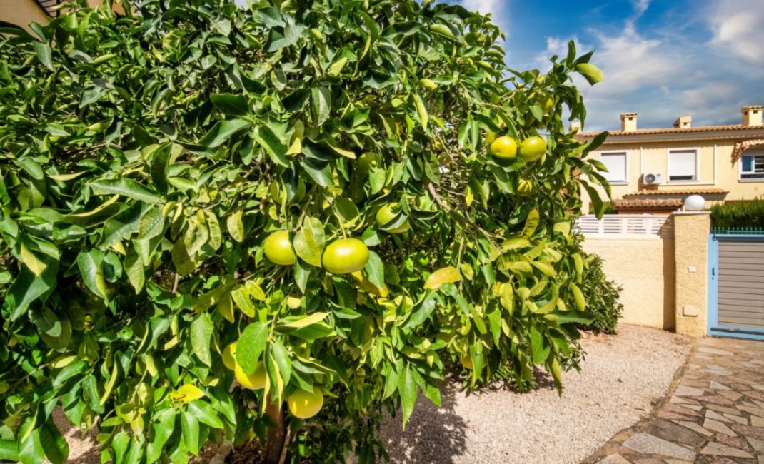 Herverkoop - Villa -
Alfaz del Pi - Colonia Escandinavia