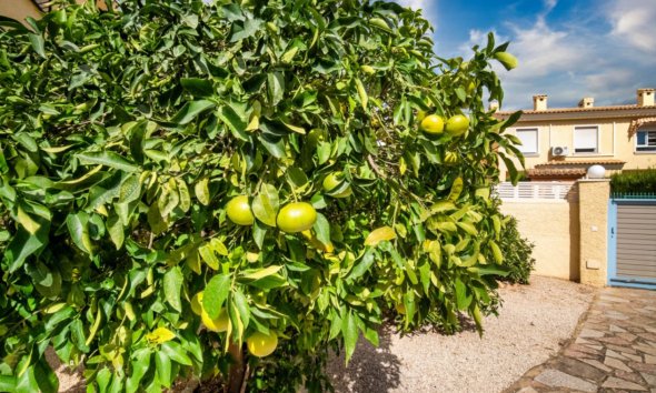 Herverkoop - Villa -
Alfaz del Pi - Colonia Escandinavia